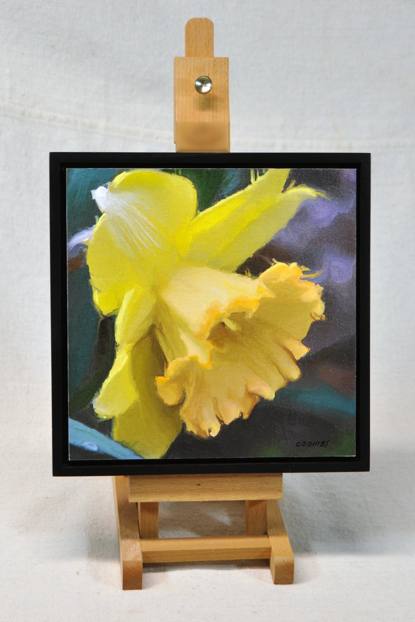 Daffodil Sunrise