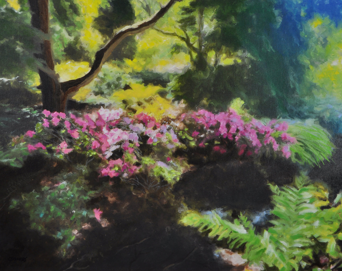 Wild Azaleas