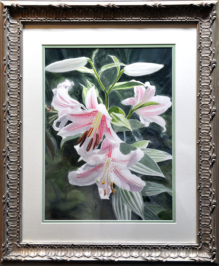 Asian Lilies