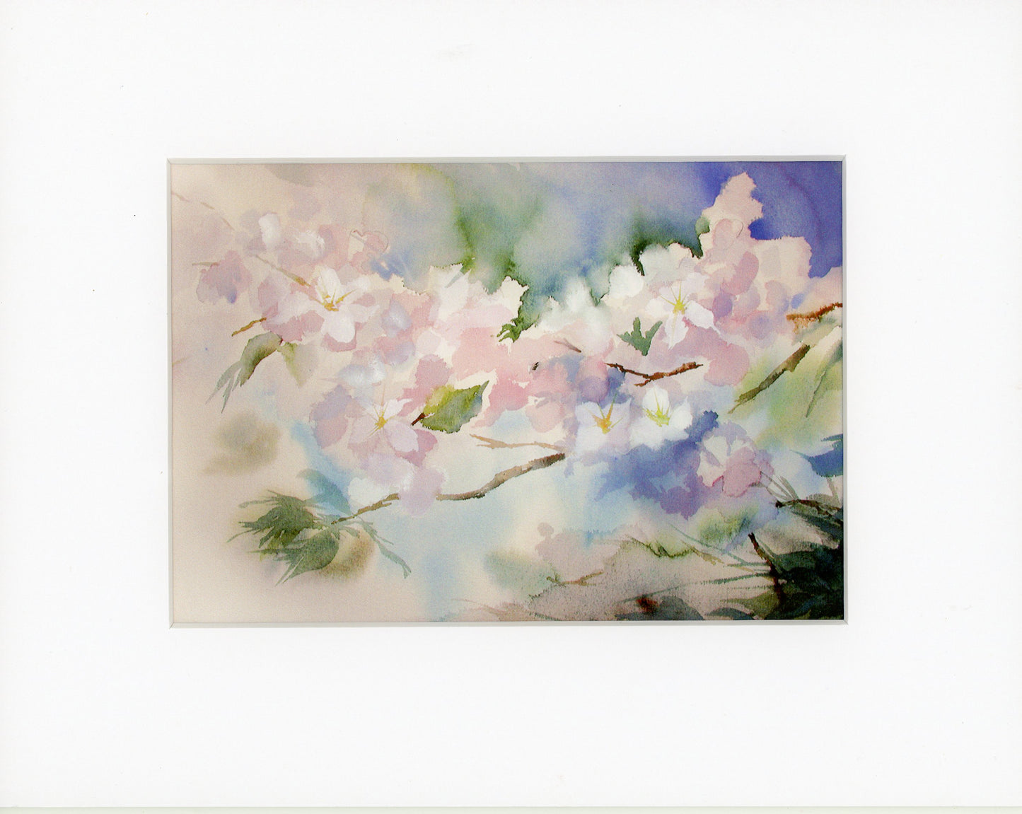 Cherry Blossoms Giclée Print