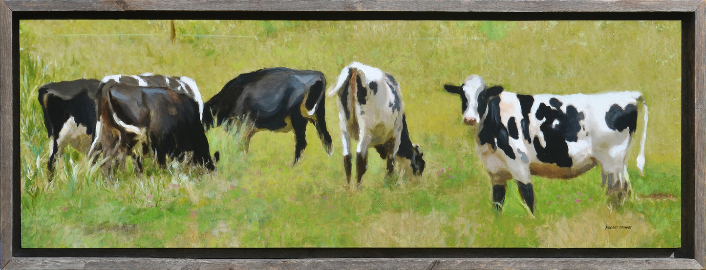 Cow Pasture